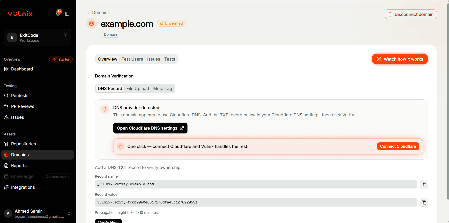 Verifying domain ownership